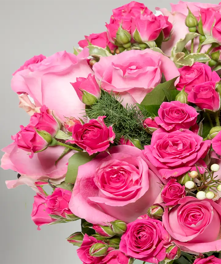 Bouquet di roselline rosa macro